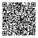 rin len qcode